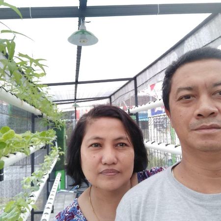 Titan'S Greenhouse Banyuwangi  Eksteriør bilde